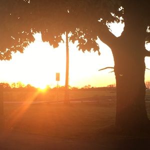 Meet your Posher, Laney